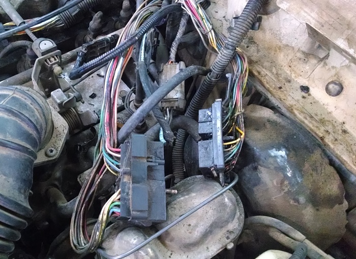 C101 Elimination cruiser54